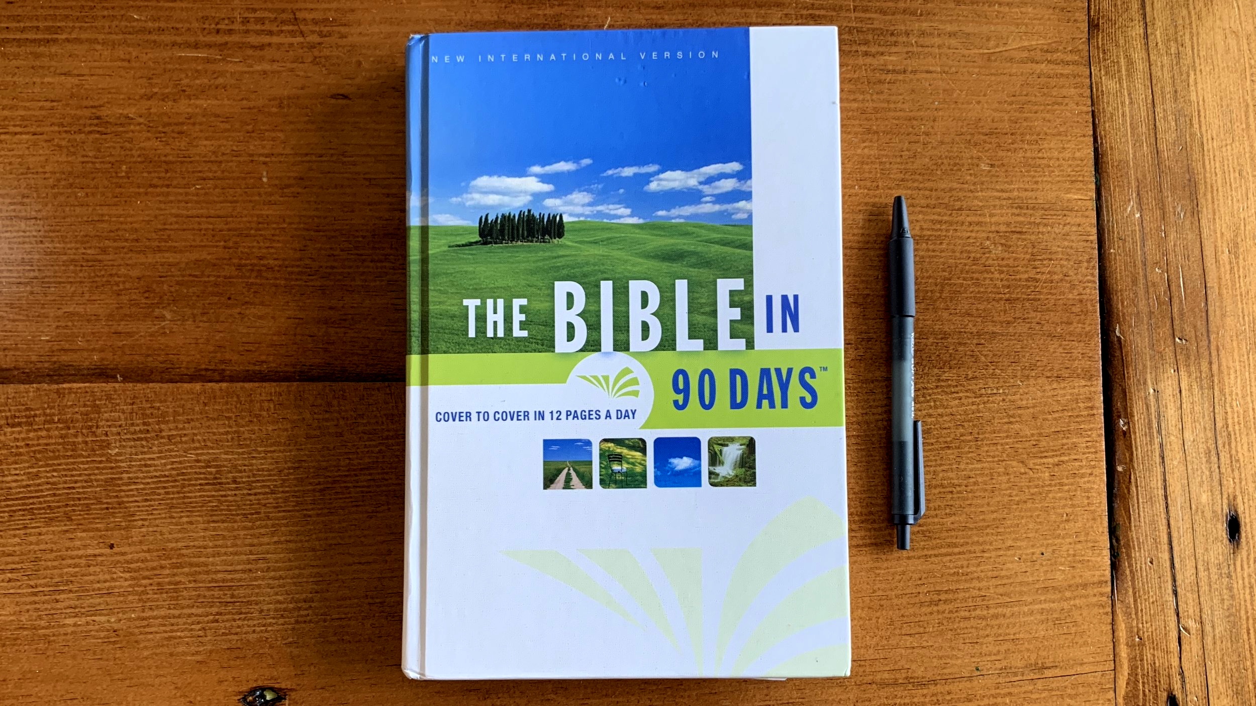 10 Thoughts About Reading The Bible In 90 Days | Looking At Christ